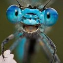 Efendi adlı kullanıcı